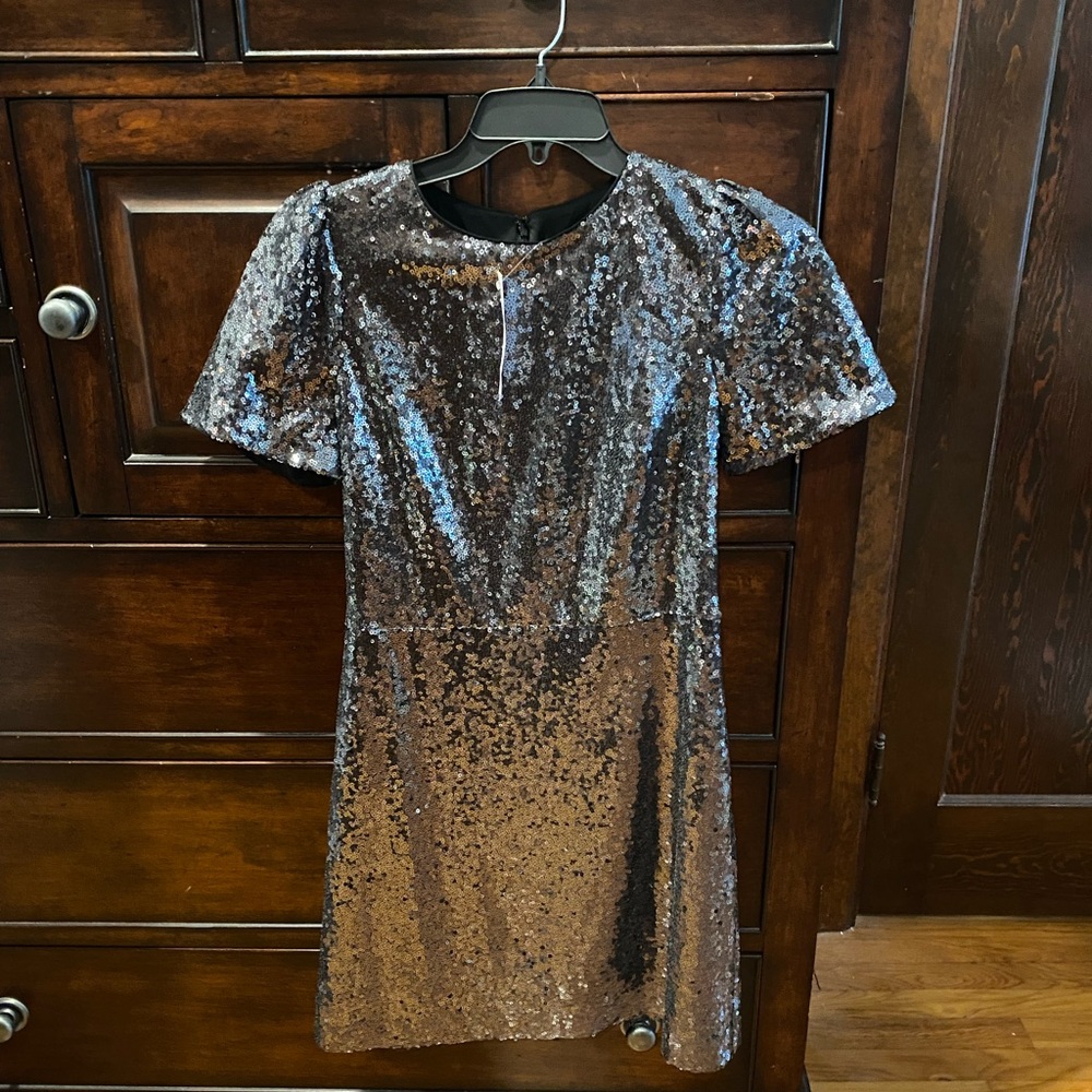 Beautiful sequin Ann Taylor dress